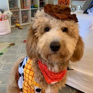 Meet your Posher, Jarrett